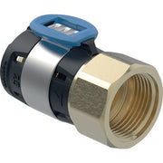 GE FlowFit Übergang mit Innengewinde SiBr d20-Rp1/2