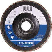 Vlies-Kompaktscheibe BUF014 D.125mm Bohr.22,23mm m.Fiberglasrücken anth.TECWERK