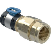 GE FlowFit Übergangsverschraubung mit IG SiBr d20-R1/2